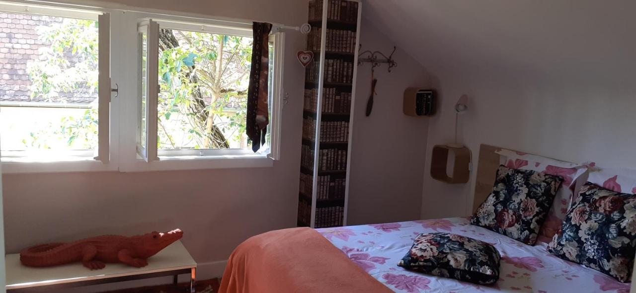 فيلا كولمارفي Chalet Montsegur المظهر الخارجي الصورة